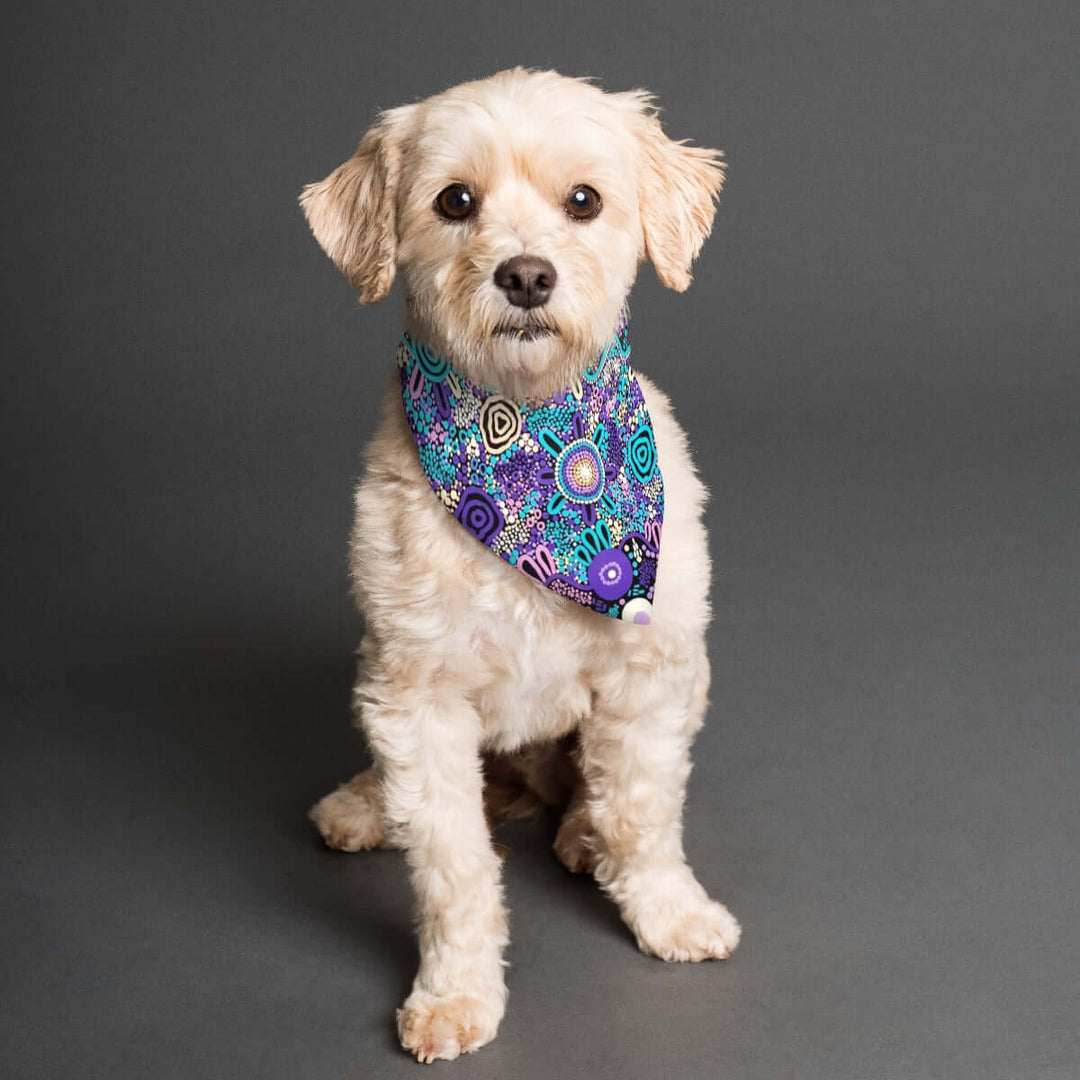 Pet's Scarf double sided print - Walkaboutgirl 